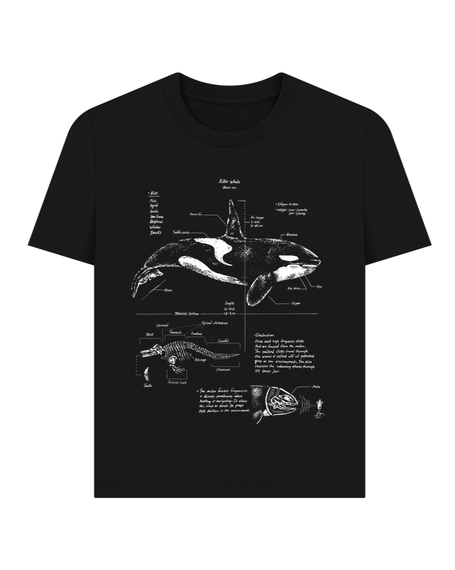 Black Orca Anatomy Women's T-shirt