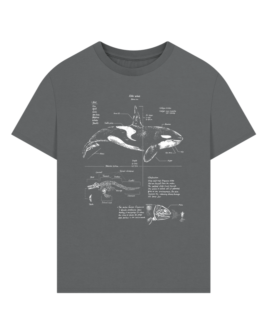 Slate Grey Orca Anatomy Oversized T-shirt