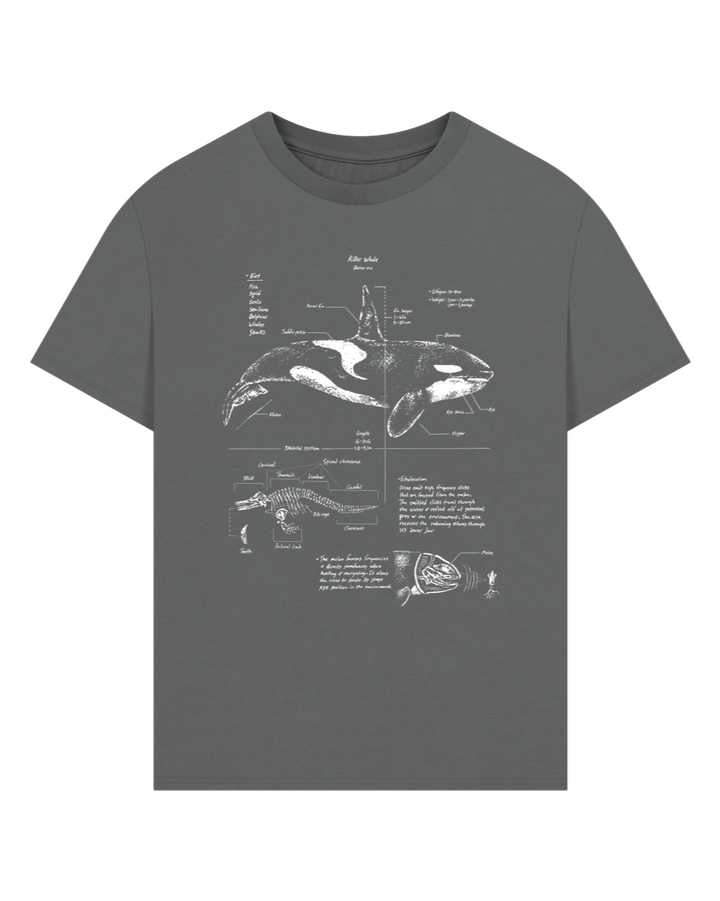 Slate Grey Orca Anatomy Oversized T-shirt