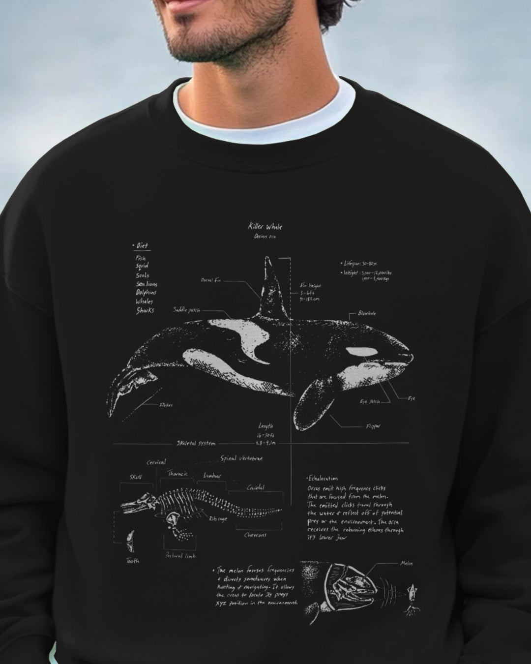 Orca Anatomy Oversized Sweatshirt