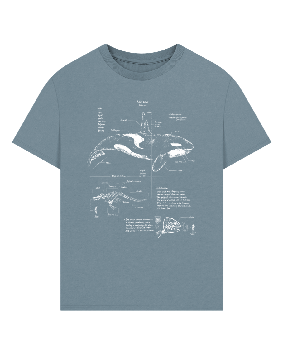 Stone Blue Orca Anatomy Oversized T-shirt