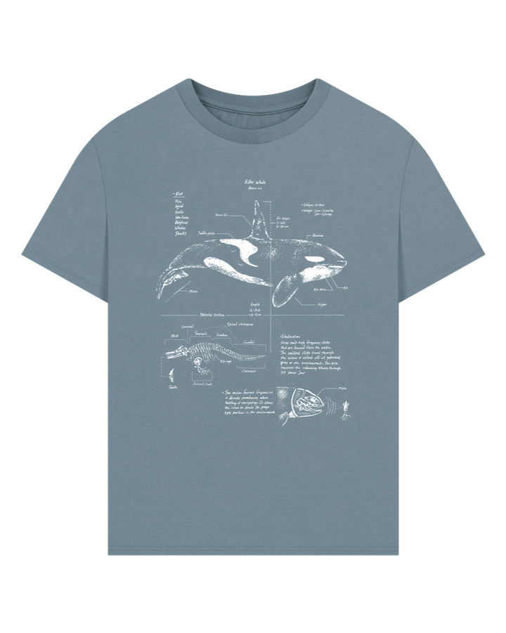 Stone Blue Orca Anatomy Oversized T-shirt