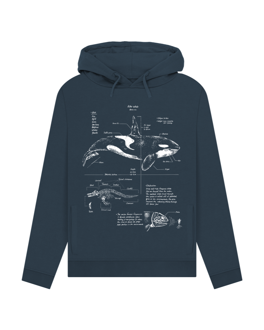 Navy Blue Orca Anatomy Women's Hoodie