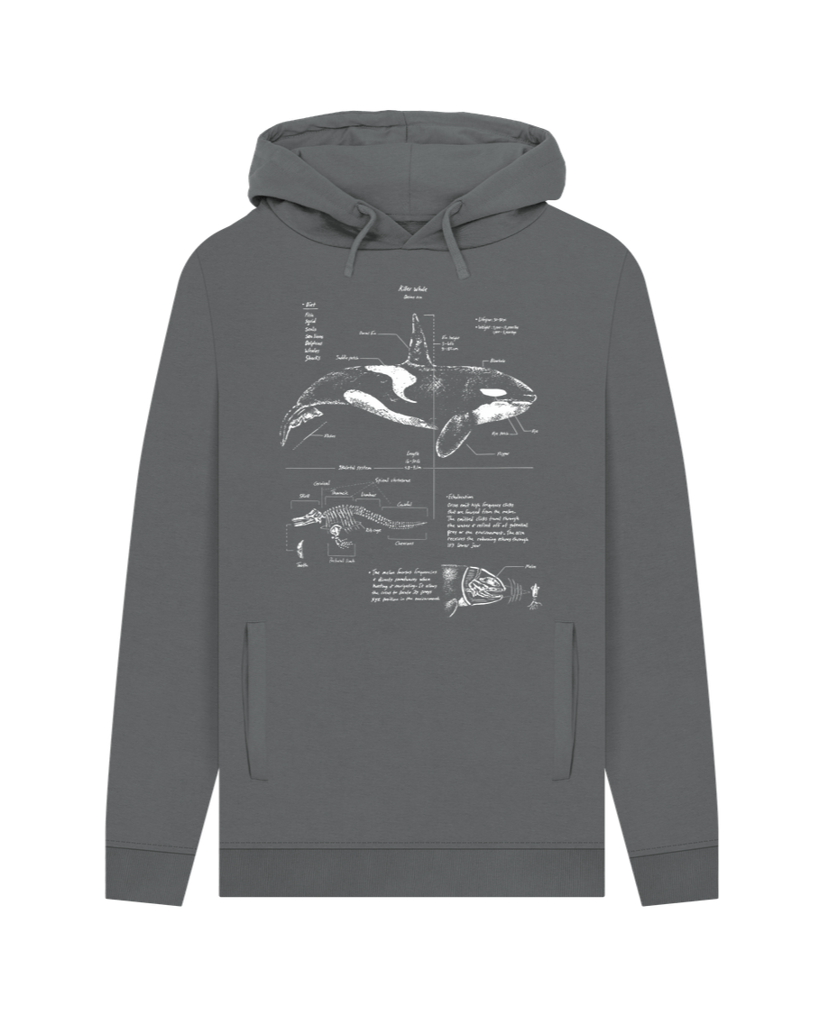 Slate Grey Orca Anatomy Hoodie