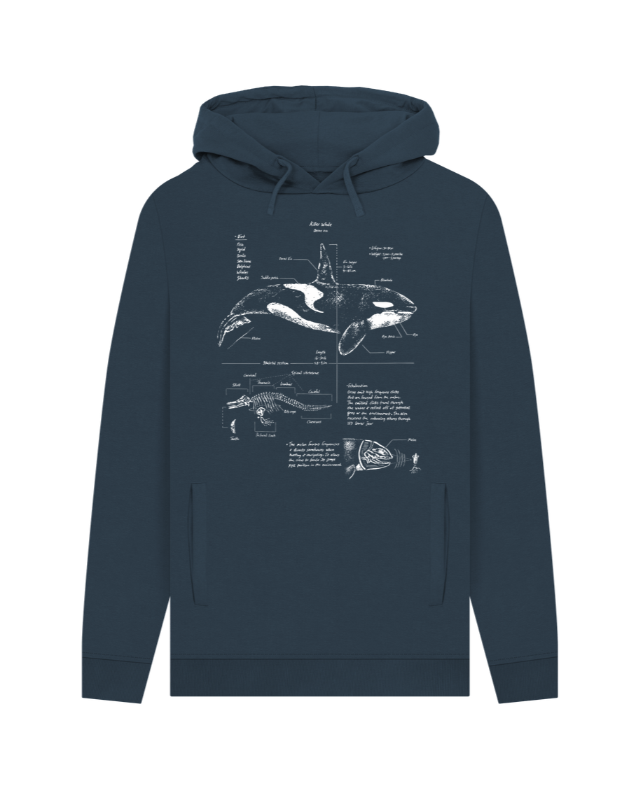 Navy Orca Anatomy Hoodie